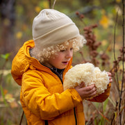 Exploring the potential of Lion's Mane for autism management