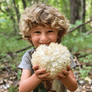 Unlocking the benefits of lion's mane for kids